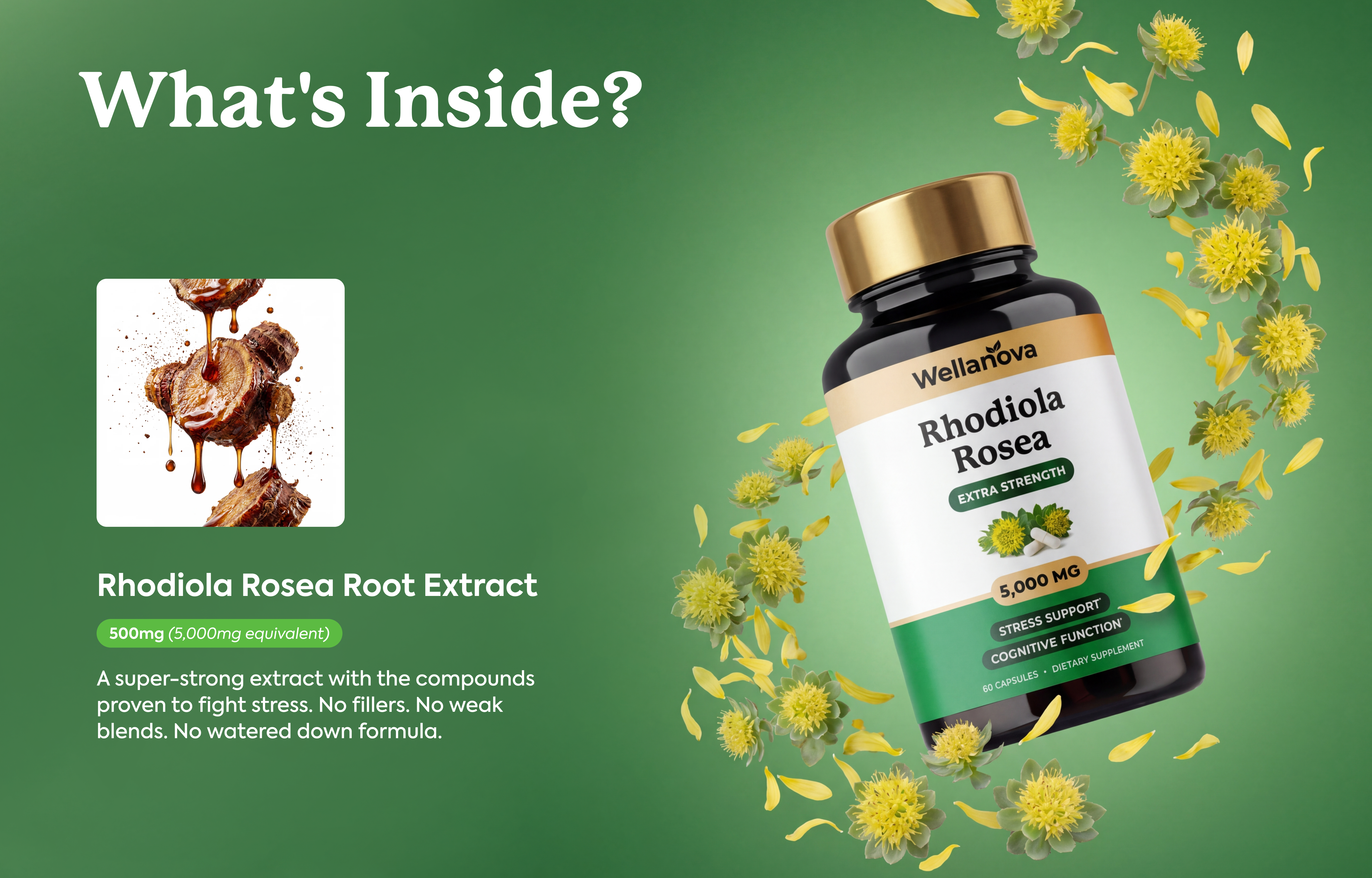 Rhodiola Rosea